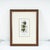 Vintage Botanical Print in Frame by Fevilleaa For Sale - Image 5 of 5