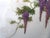 1950s Koshida Wisteria Garland Hand Painted Vintage Luncheon Tea Dessert Plate For Sale In Phoenix - Image 6 of 10