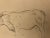 Guglielmo Innocenti, Étude de vaches, Crayon on Paper For Sale - Image 4 of 9