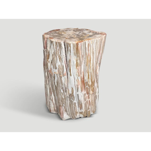 Impressive rare coral tone ancient petrified wood side table. It’s fascinating how Mother Nature produces these exquisite...