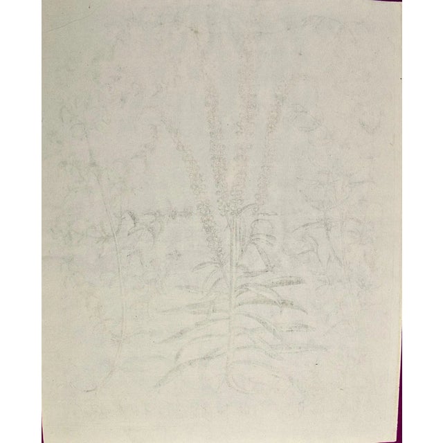 Sculpture Materials Flowering Peppermint Plants: A 17th C. Besler Hand-Colored Botanical Engraving, 1640 For Sale - Image 7 of 7