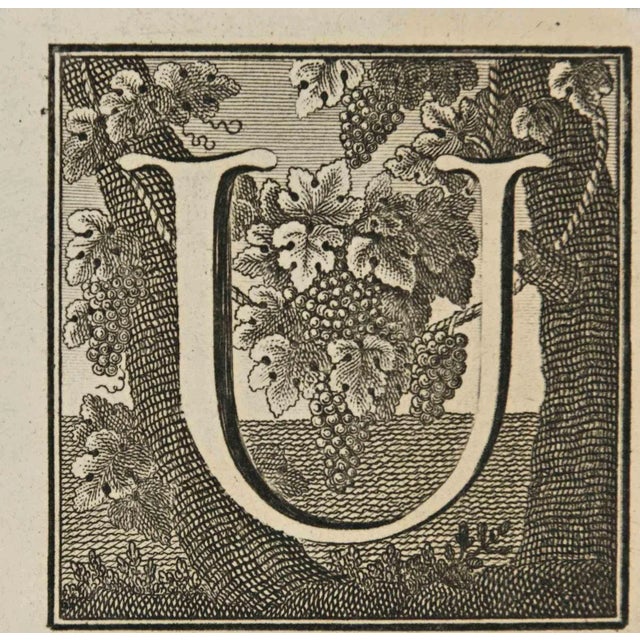 Letter of the Alphabet U from the series "Antiquities of Herculaneum", is an etching on paper realized by Luigi Vanvitelli...