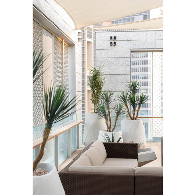 Baca XS Brown Planter by Indigenousus For Sale - Image 13 of 15