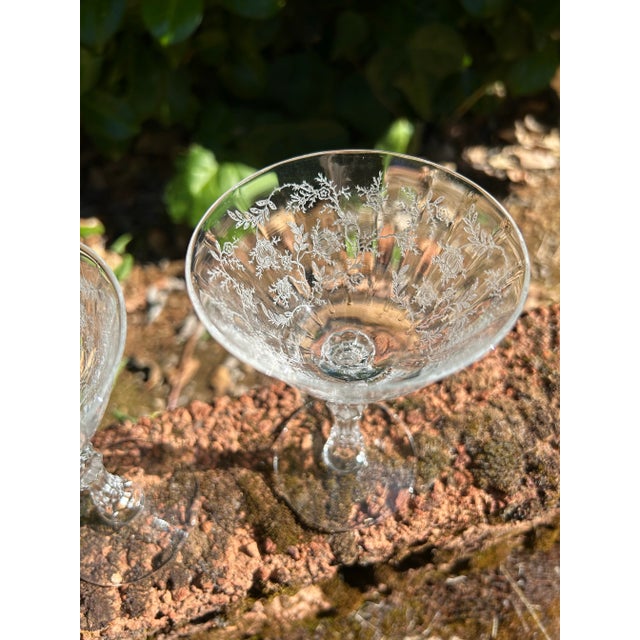 Transparent Four 1930s Fostoria Chintz Liqueur or Cordial Glasses Etched With Chintz Pattern- Set of 4 For Sale - Image 8 of 8
