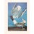 1966 Vintage Nautical Cottage Print "Bonaparte's Gull" After John James Audubon For Sale In Dallas - Image 6 of 8