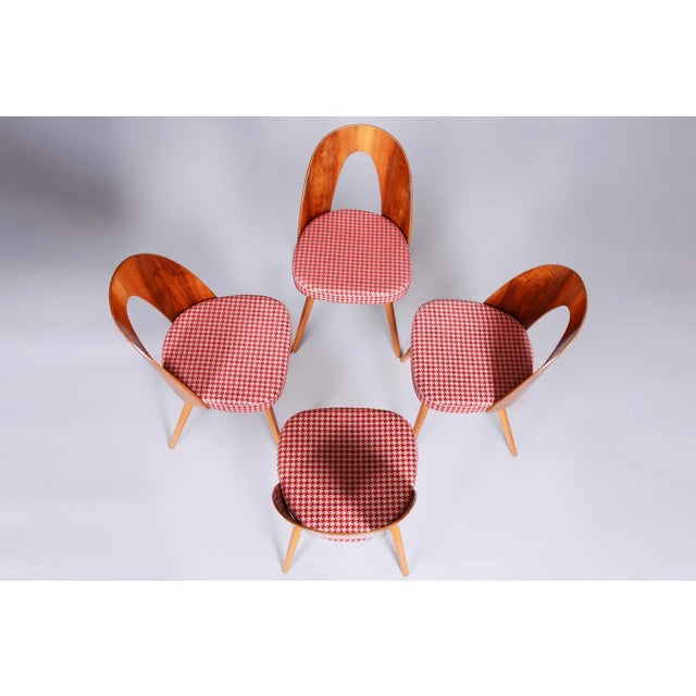 Mid-Century Dining Chairs attributed to Antonín Šuman in Beech & Walnut, Czech, 1950s, Set of 4 For Sale - Image 4 of 11
