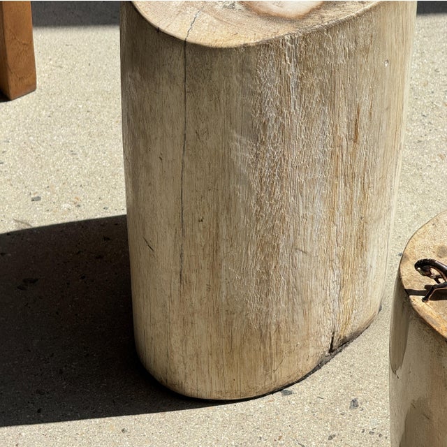 Oval White Petrified Wood Side Table, 1980s For Sale - Image 16 of 18