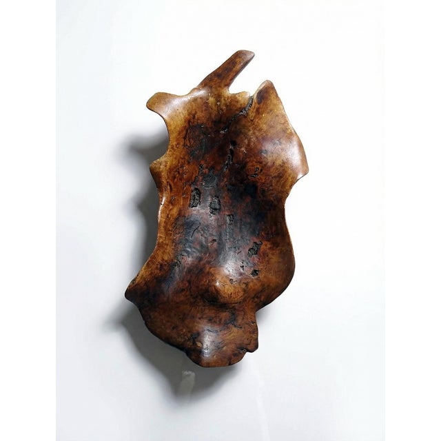 Large Bowl in Dark Raw Wood, 1950s For Sale - Image 17 of 17