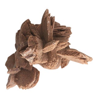 Desert Rose Selenite Crystal Formation For Sale