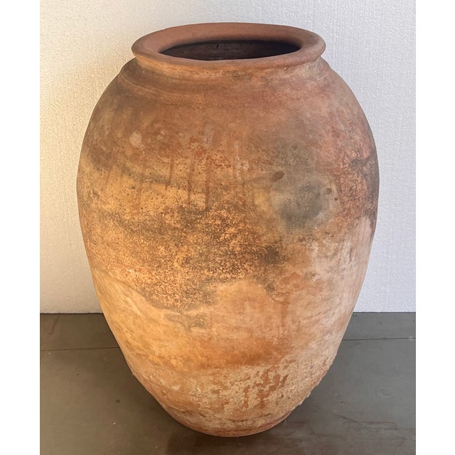 Spanish 18th Century Rare Terracotta Hand Carved French Biot Pot For Sale - Image 3 of 6