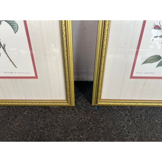 Pair of Vintage Framed Pink Roses by Pierre-Joseph Redouté Reproduction For Sale In West Palm - Image 6 of 7