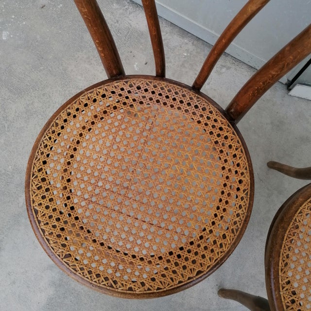 Model No. 18 Chairs from Gebrüder Thonet and Wackerlin & C., 1980s, Set of 7 For Sale - Image 16 of 18