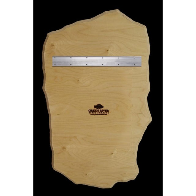 15th Century & Earlier Fossil Fish Mural 9433am For Sale - Image 5 of 5