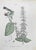 Vincenzo Tenore, Salvia Solare, Lithograph, 1870s For Sale