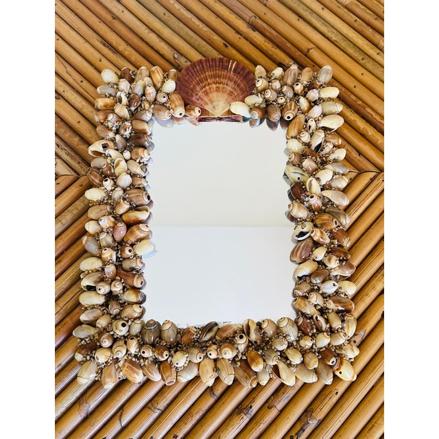 Glass Vintage French Mid Century Seashell Wall Mirror For Sale - Image 7 of 12