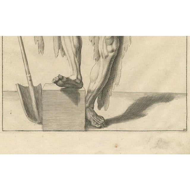 Anatomical Male Figure Study with Raised Arm, 1745, Paper For Sale - Image 3 of 10