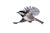 Jose A. Bernat Bacete, Close-Up of Tannenmeise (Periparus Ater) Coal Tit in Flight on a White Background, Photographic Paper For Sale
