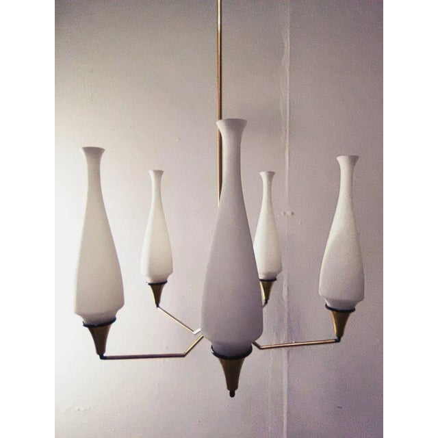 Vintage Chandelier with 5 Lights by Oscar Torlasco For Sale - Image 11 of 11
