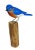 1990s Hand Carved Bluebird Handmade Hand Painted Bird 8"h Wood Carving For Sale - Image 5 of 8