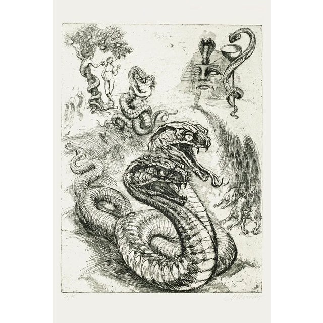 Serpent - Original Etching by M. Chirnoaga - Late 20th Century Late 20th Century For Sale - Image 3 of 3