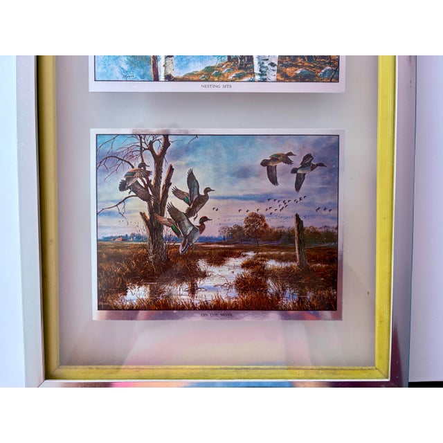 Metal Vintage David A. Maass Wilderness Wings Wildlife Foil-Etch Prints, Framed Set of 4 For Sale - Image 7 of 14