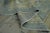 Textile Turkish Oushak Rug 10'2" x 13'10" #18601 For Sale - Image 7 of 8