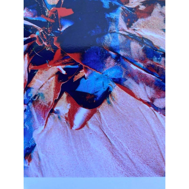 “Kelp Jewel II – Drakes Beach, California” Original Artwork by Clifford Baker For Sale In San Francisco - Image 6 of 8