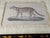 John-Richard Framed Nature Prints of a Lioness & Margay Pair Faux Tortoiseshell Wood 16x12.5 For Sale - Image 13 of 18