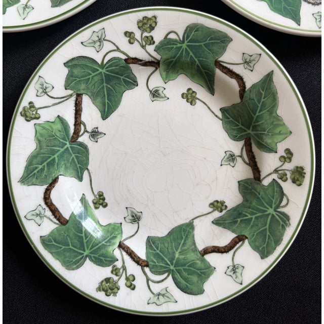 Wedgwood 1940s Napoleon Ivy Wedgwood Plates - Set of 5 For Sale - Image 4 of 8