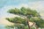 1940s Monterey Cypress - Carmel by the Sea California Seascape in Oil on Canvas by E Holton For Sale - Image 5 of 8