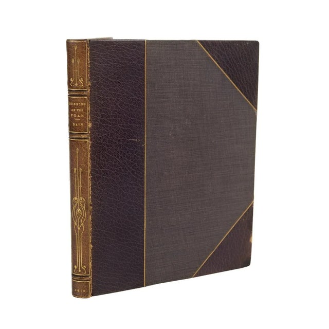 Bubbles of the Foam by F.W. Bain For Sale