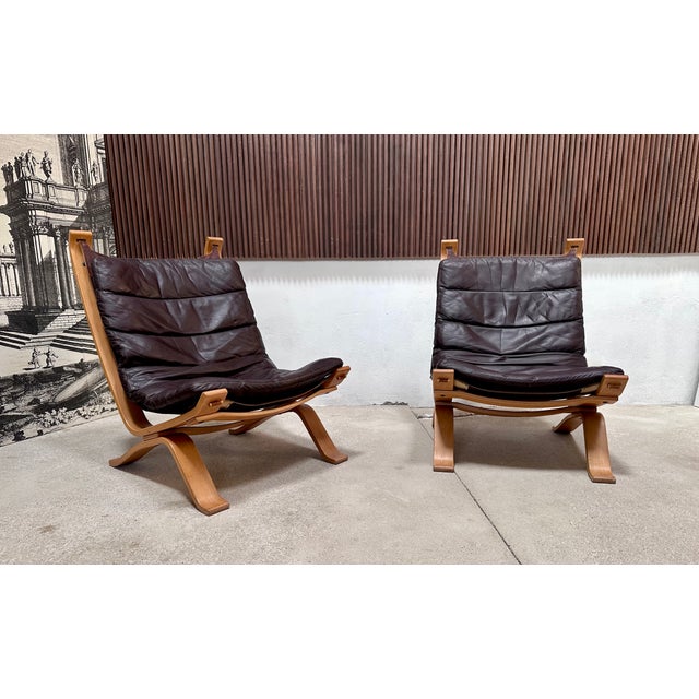 Brutalist Model Focus Leather Lounge Chairs with Plywood Frames from Bramin Møbler, Denmark, 1970s, Set of 2 For Sale - Image 13 of 18