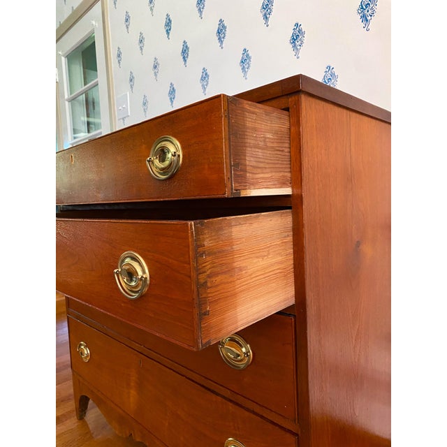 Antique Early 1800s Southern Neoclassical Mahogany Chest of Drawers, Likely Virginia For Sale - Image 13 of 14