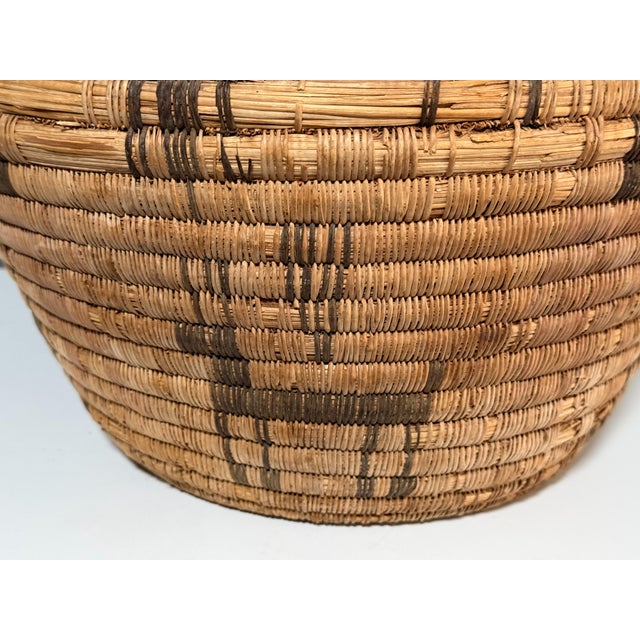 20thC 17” Polychrome Pima Akimel Oodham in the Style of Native American Olla Basket Dual Register Human & Deer Motif Willow Devils Claw and Yucca Root For Sale - Image 14 of 14