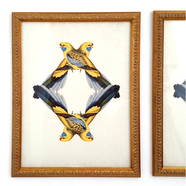 Offering a pair of yellow parakeet framed reproduction prints, circa Late 20th Century. These prints are signed just below...