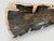 Andrianna Shamaris Live Edge Single Slab HighQuality Petrified Wood Dining Table For Sale - Image 9 of 18