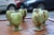 Tanzanian Green Onyx Liquor Glasses, 1950s, Set of 6 For Sale - Image 9 of 10