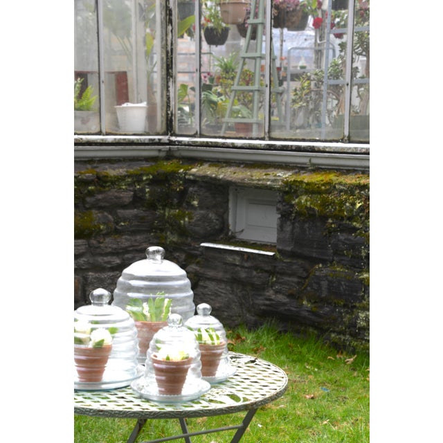 French Country Antique French Glass Bell Garden Cloche - Small For Sale - Image 3 of 3