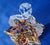 Glass C 1890 Franz Welz Bohemian Art Glass Hand Blown Basket W/ Spun Thorn Handle For Sale - Image 7 of 9