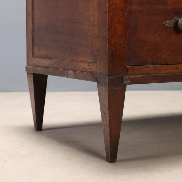 Wood Chest of Drawers in Walnut For Sale - Image 7 of 11