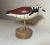 07' Carved Wood Ruddy Turnstone Richard Connolly Shore Bird Duck Decoy Sculpture For Sale - Image 4 of 11