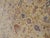 Antique Persian Sultanabad Carpet Handmade Soft Yellow Ground All Over Design For Sale - Image 11 of 16