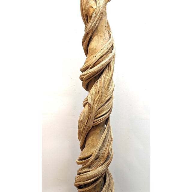Contemporary Natural Liana Vine Sculpture For Sale - Image 3 of 12