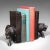 1900's Pair of Antique Carved Lion Bookends For Sale - Image 11 of 11
