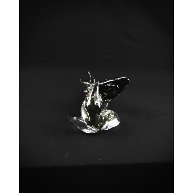 Vintage Murano Glass Shark from Maestri Vetrai, 1960s For Sale - Image 12 of 13