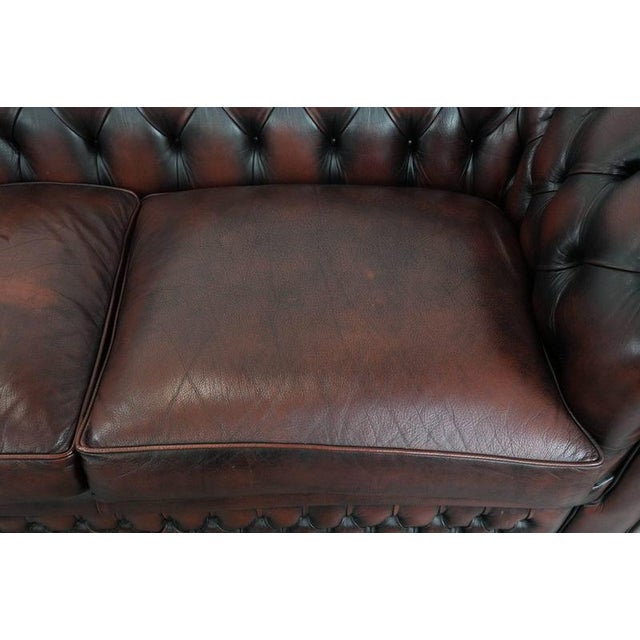 English Style Red-Brown Cowhide Chesterfield Sofa For Sale - Image 6 of 16