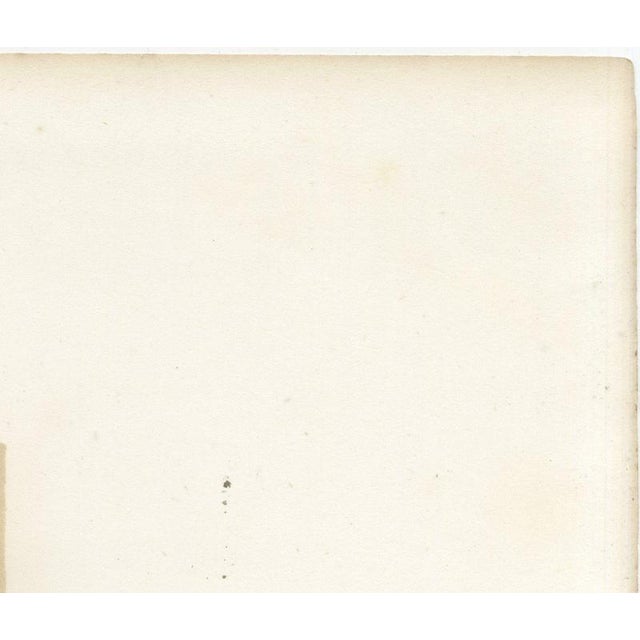 Paper Markob, Durham Shorthorn Bull of Corbon, 1873, Paper For Sale - Image 7 of 12