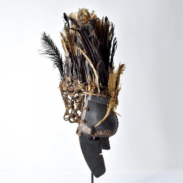 Early 20th Century Early 20th Century Salampasu Feathered Mask For Sale - Image 5 of 11