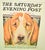 Paper The Saturday Evening Post January 30, 1937 Magazine Cover of a Fox-Hound by Paul Bransom For Sale - Image 7 of 7