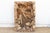 Organic Teak Root Mosaic Coffee Table For Sale In Los Angeles - Image 6 of 11